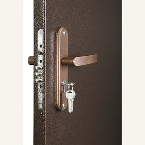 дверь спец pro bmd-2060/960 ит ор антик медь