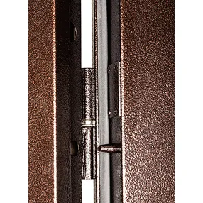 дверь профи pro bmd-2060/960 мет/мет антик медь